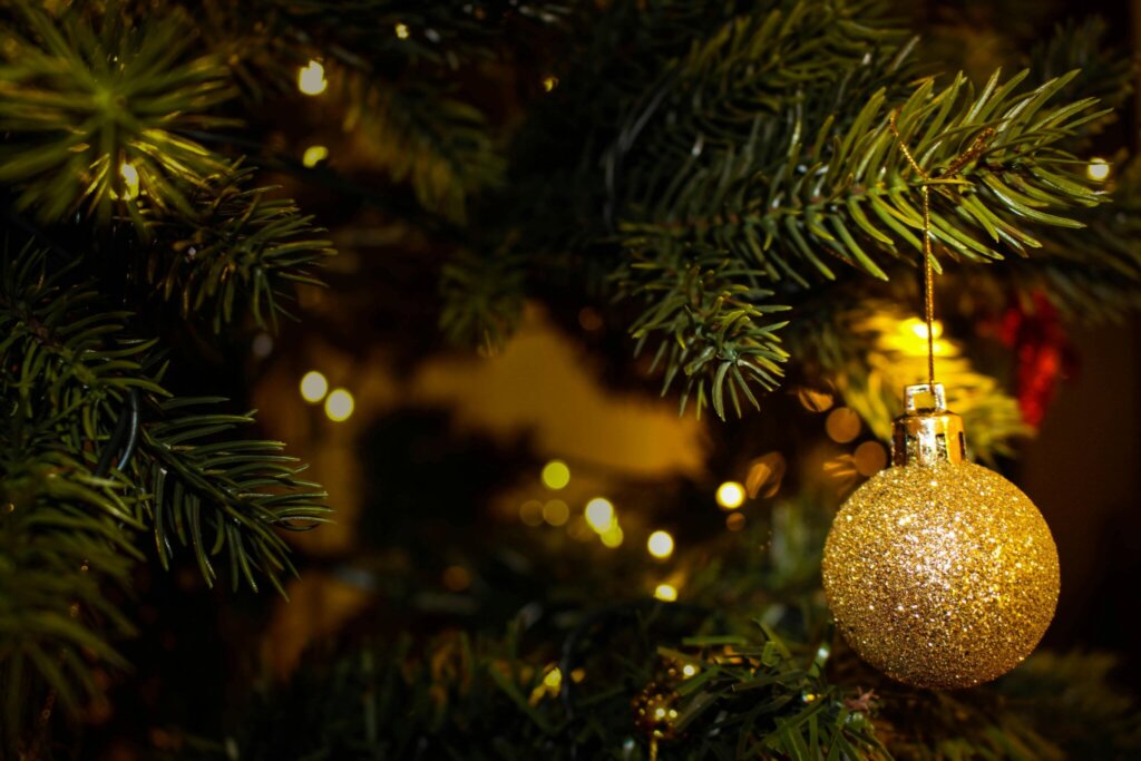 November 2024 - Christmas Closure